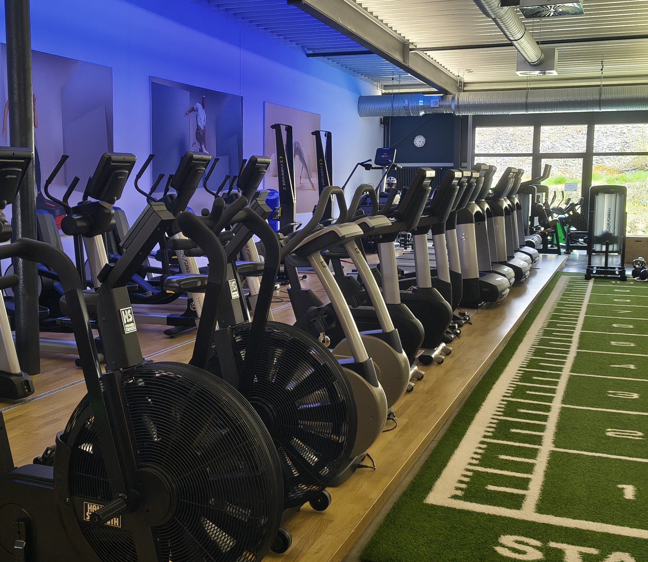 Cardio Bereich